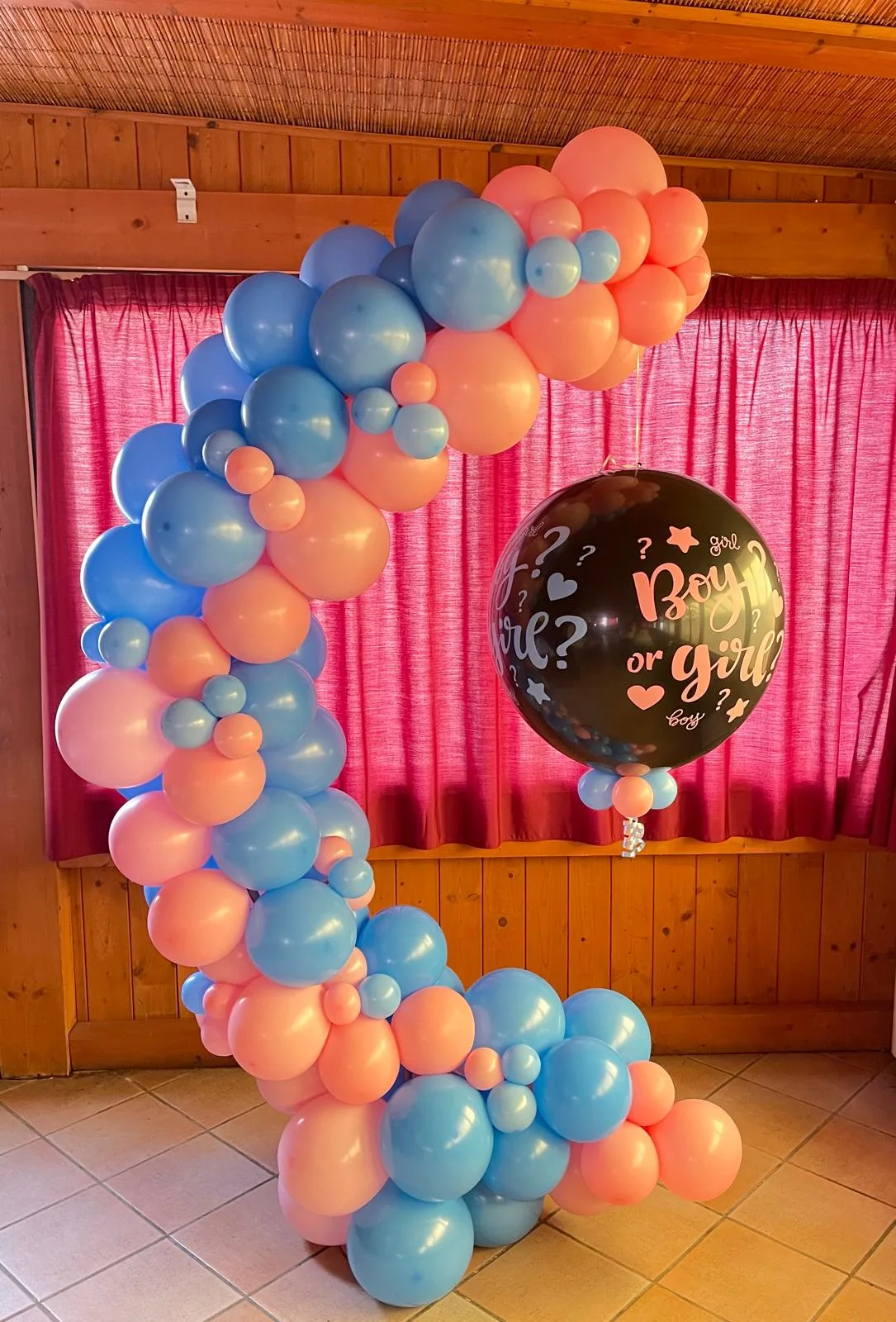 Arco organico di palloncini rosa e azzurri con il grande palloncino nero Boy or Girl appeso al centro, montato in una sala con boiserie in legno