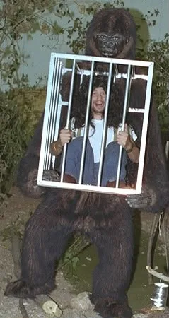 Il gorilla Igor…illa con la gabbia al contrario e dentro una persona che sorride
